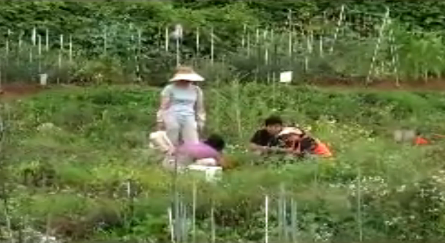 [소통대장정] 주말농장 방문