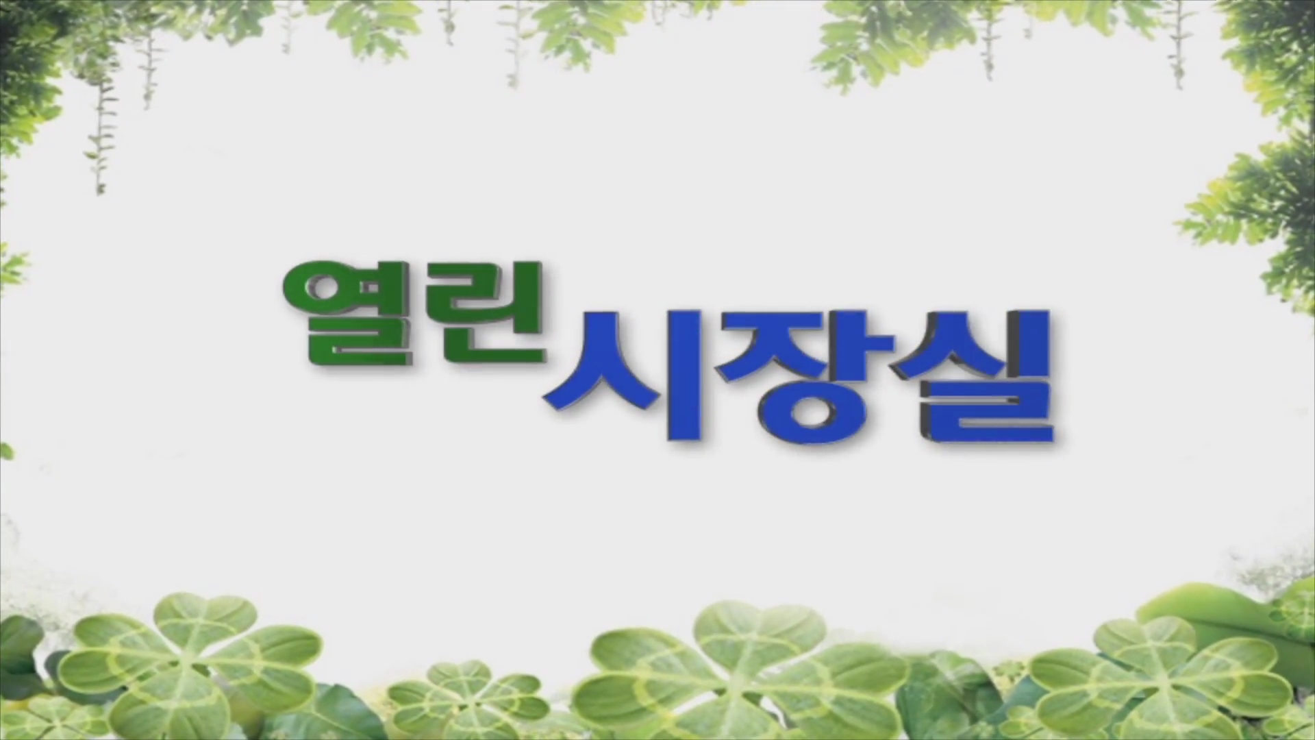 제6회 지방선거 당선자 교부