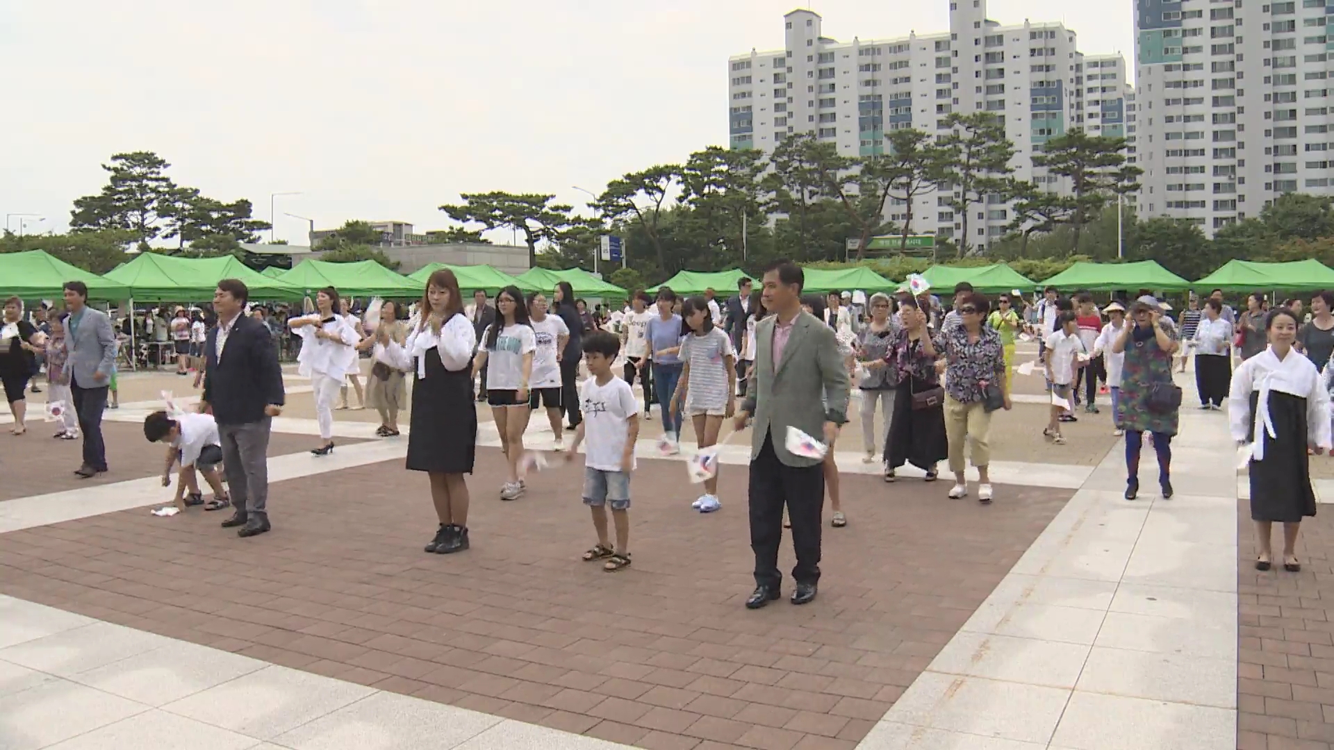 8.15광복절 독도플레시몹