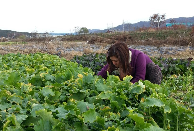 수확의 계절 가을, 오산댁의 농촌체험기
