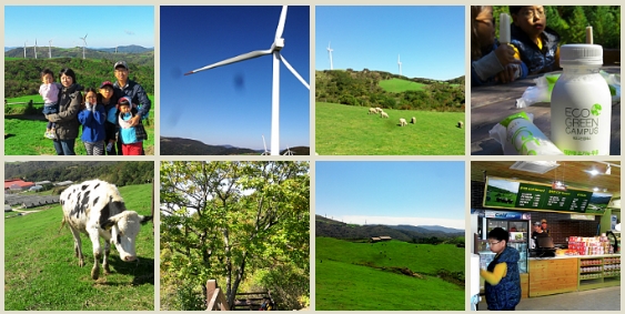 동해를 품은 대관령 이야기