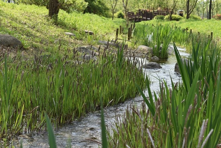 오산 산책코스 은빛개울 사이로 생태탐방하러 떠나요~! <시민기자 배유미>