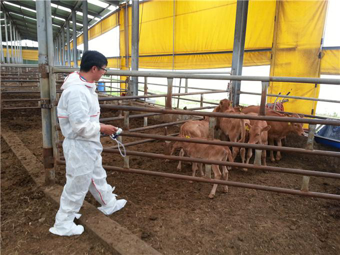 오산시, 오는 14일까지 구제역 예방접종 실시