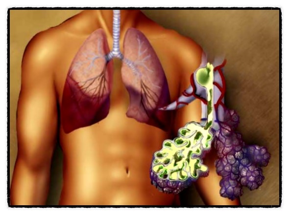 오산시 어르신 폐렴구균 예방접종 안내