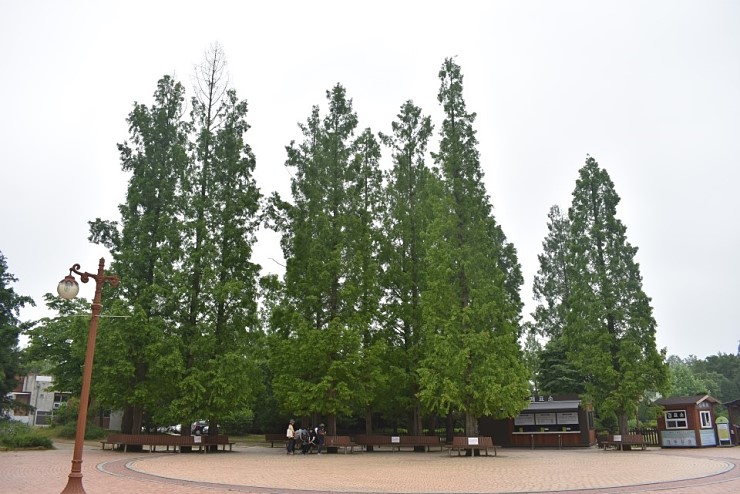 오산 도시녹지의 핵심, 경기도립 오산 물향기수목원 <시민기자 배유미>