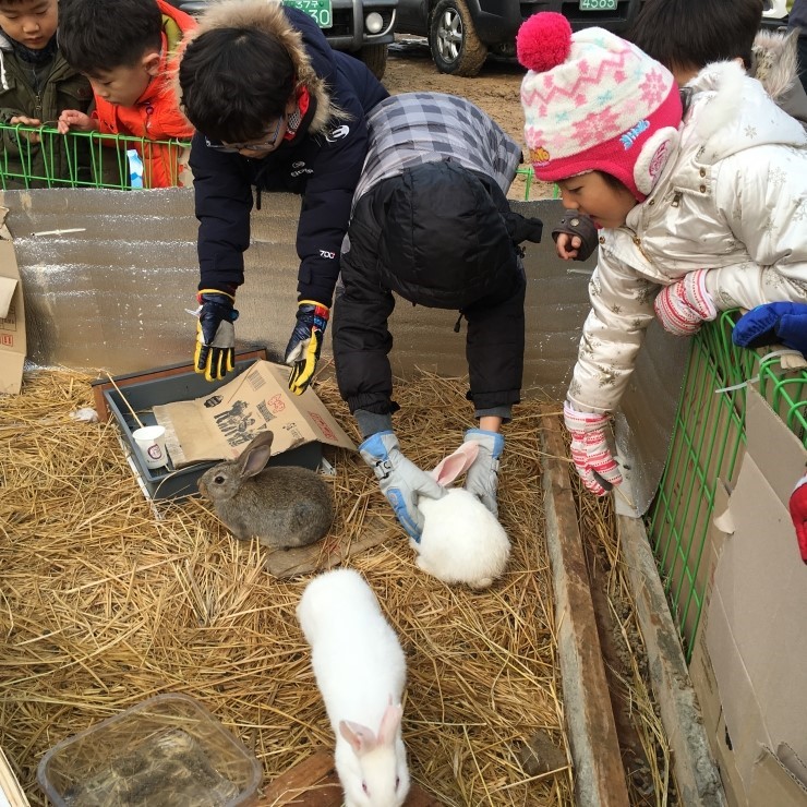 오산시민의 특별한 겨울이야기 두번째-도심속 농촌 오산시 서랑동 눈썰매장<시민기자 손선미>;