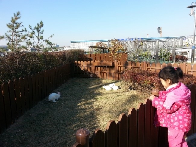 맑은 날은 맑음터공원으로 소풍가기!