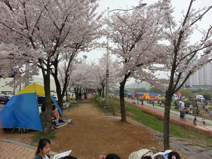 벚꽃 향기속에 펼쳐진 '오산천 그림그리기 대회'<시민기자 정덕현>;