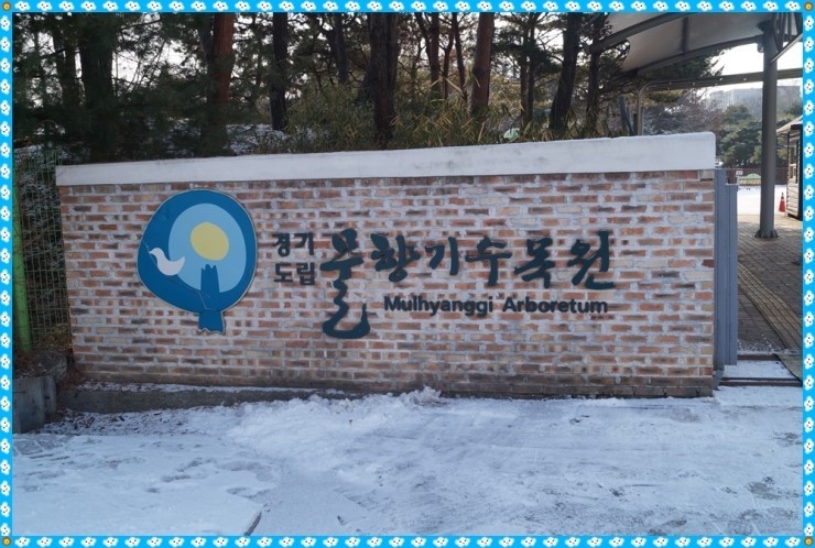 눈꽃 활짝 '은빛으로 변신한 오산 물향기 수목원'<시민기자 박화규>;