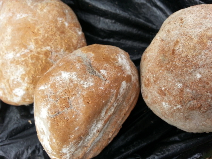 소망하는 것처럼 오산천이 깨끗해 지길 바라며 공을 던진다