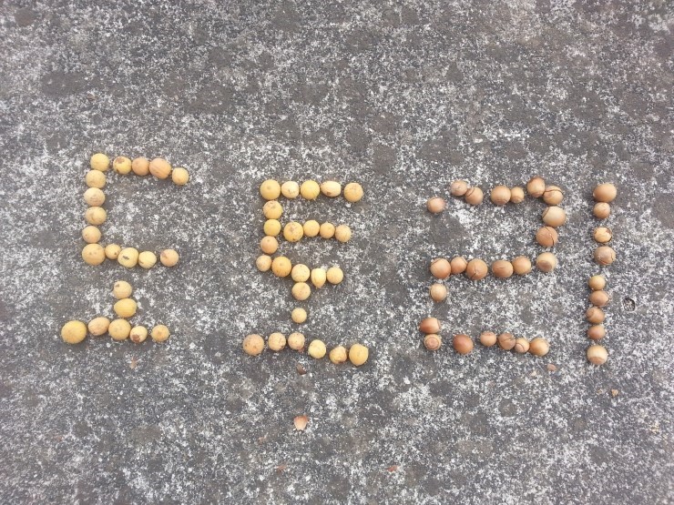 떼굴떼굴~ 도토리 어디서 왔나! 오산가족의 도토리 체험~