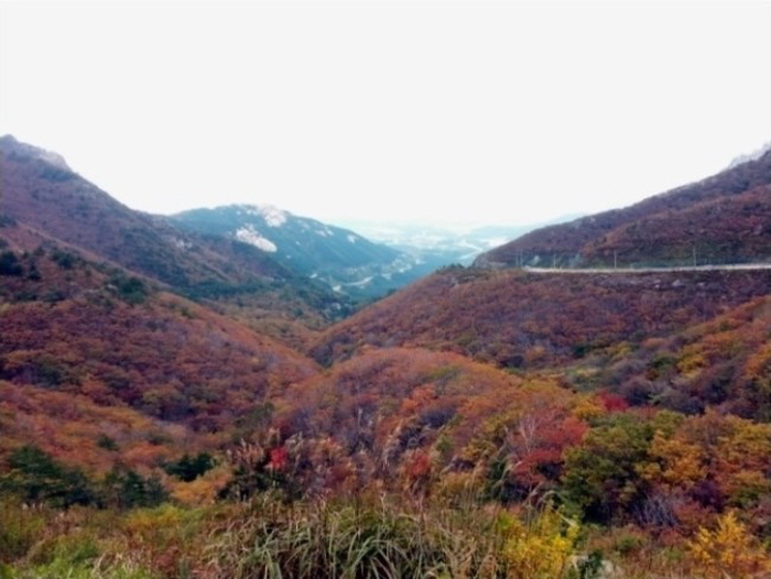 문화공장에서 만난 한 잔의 커피와 오산천