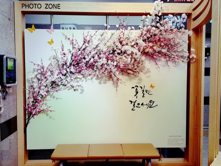 오산시민 여러분 꽃길만 걸으시길<시민기자 정재숙>; 