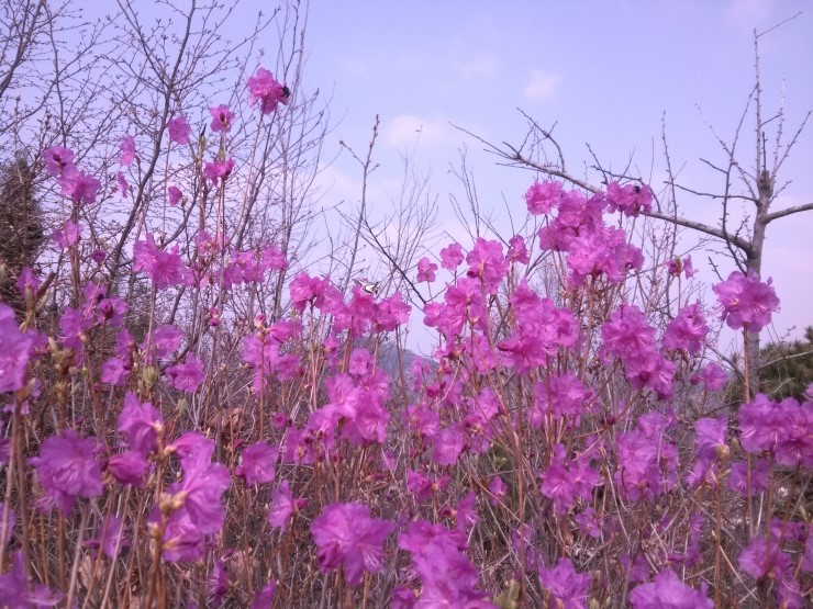 오산시 여계산으로 봄나들이 가요