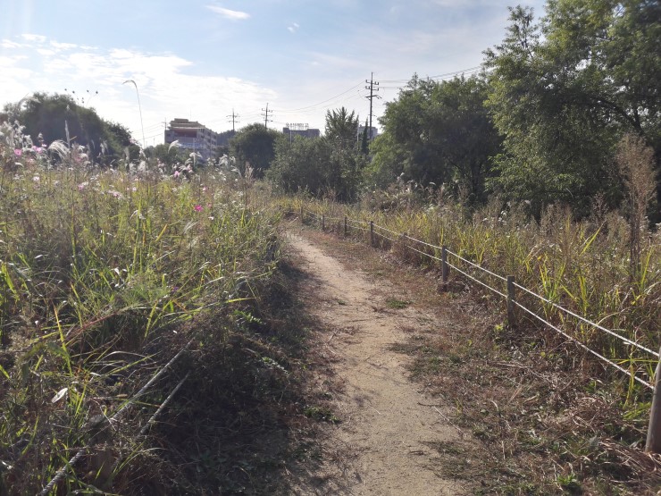 가을가을한 오산천과 오색시장<시민기자 김유경> 