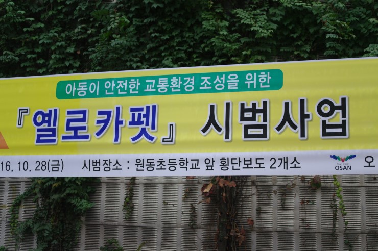 아동이 안전한 마을 만들기 프로젝트- 옐로 카펫<시민기자 박유진>; 