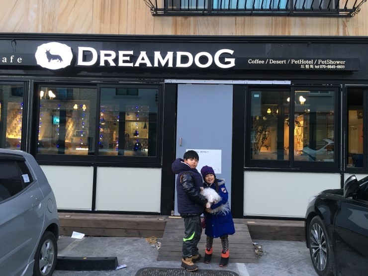 우리집 강아지와 함께 가 본 애견카페 탐방<시민기자 손선미>;