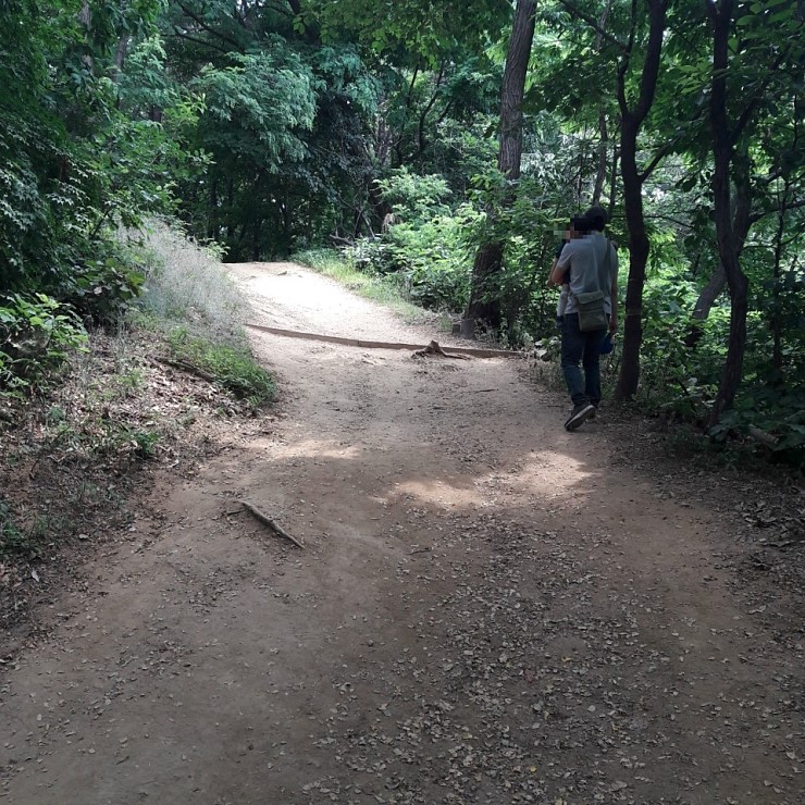 등산 초보에게 착한 산, 오산 필봉산 <시민기자 김향래>