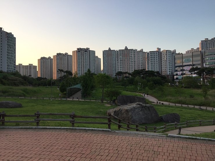 오산 세교 고인돌 공원에서 다함께 기공체조를-! <시민기자 박현숙>