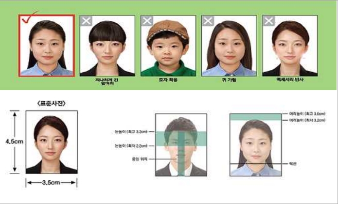 귀와 눈썹이 보이는 정면 탈모상반신 - 변경된 주민등록 사진규정 