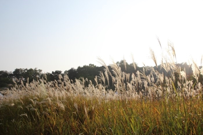 다시 즐기고픈 독산성 축제 현장