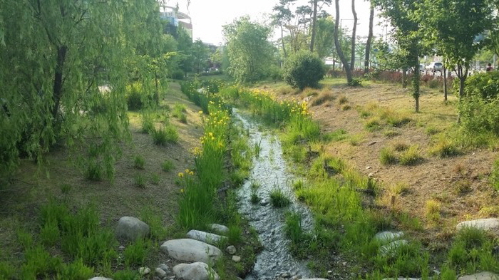 세교 신도시 고인돌 공원의 실개천