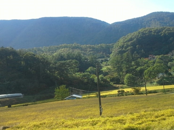 경기도 양평군 용문섬실길 가을풍경