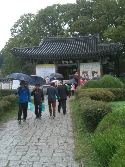 주말 가족여행 고민? 가족 효 문화교육 체험프로그램이 있는 용주사를 추천합니다!