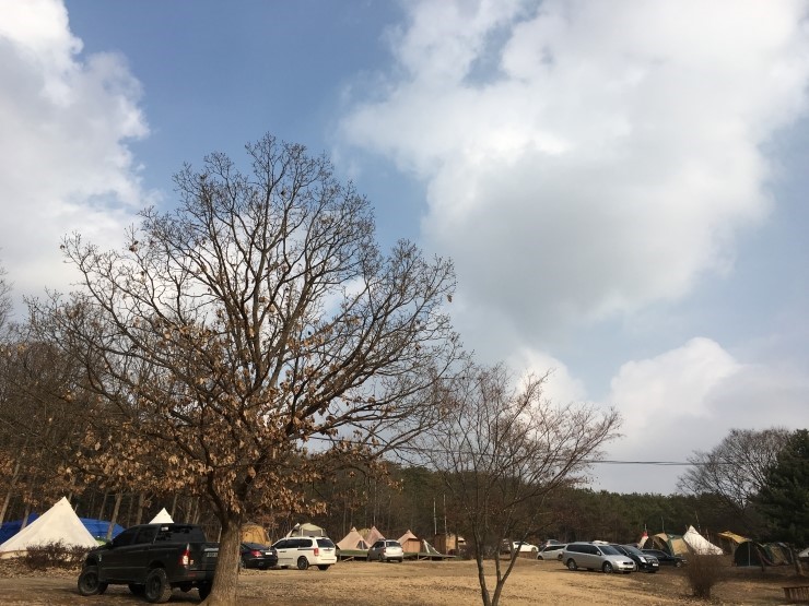 겨울 감성+힐링캠프 함께 떠나볼까요?<시민기자 손선미>;