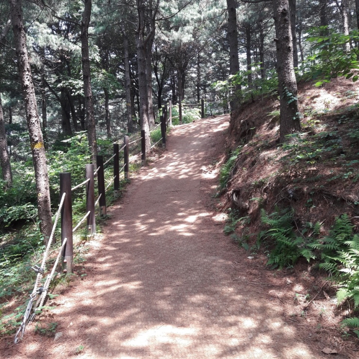 더운여름, 오산 독산성으로 산림욕 가즈아~ <시민기자 김향래>