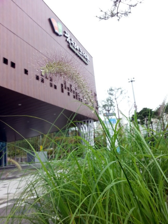 비 오는 날의 꿈두레도서관은 낭만적이다