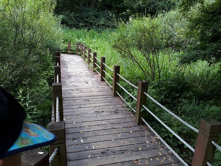 마법의 향기로 가득한 물향기수목원 속 아모레 뷰티 허브원 <시민기자 정덕현>