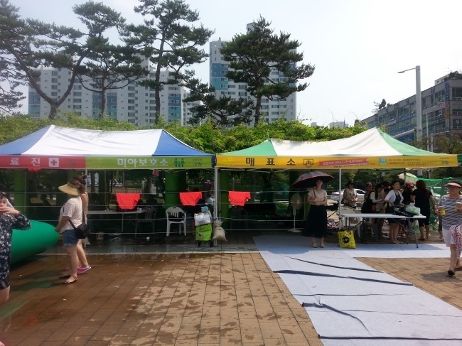 수영복입고 시청광장으로 GO ~ GO~