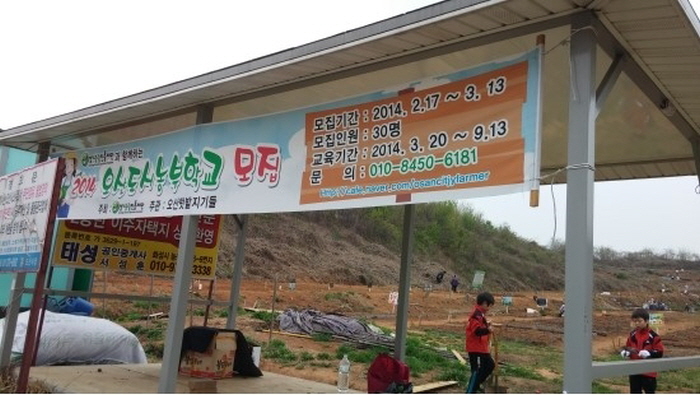 오산시에서 도시 농부가 되어 감자 심어요~~