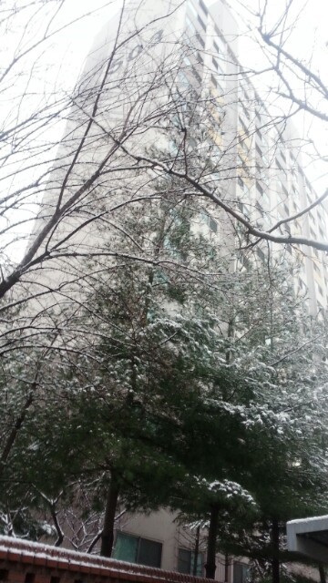  추워서 눈물이 날 지경이지만... 한파대비 이렇게 하자