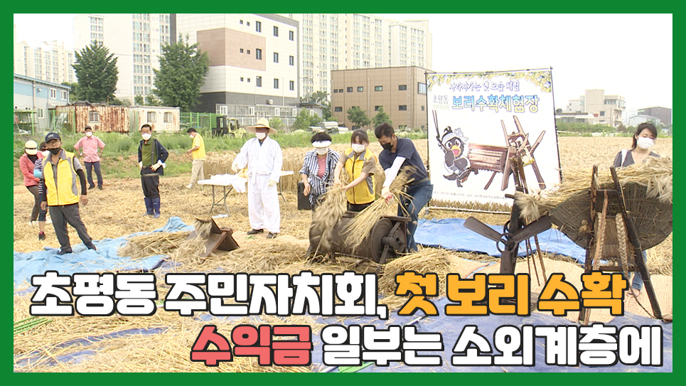 초평동 주민자치회, 첫 보리 수확...수익금 일부는 소외계층에