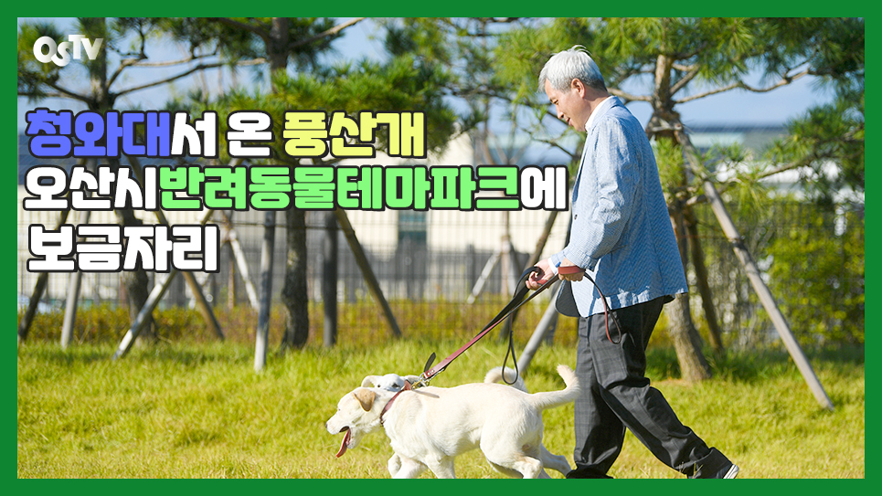 청와대서 온 풍산개, 오산시반려동물테마파크에 보금자리