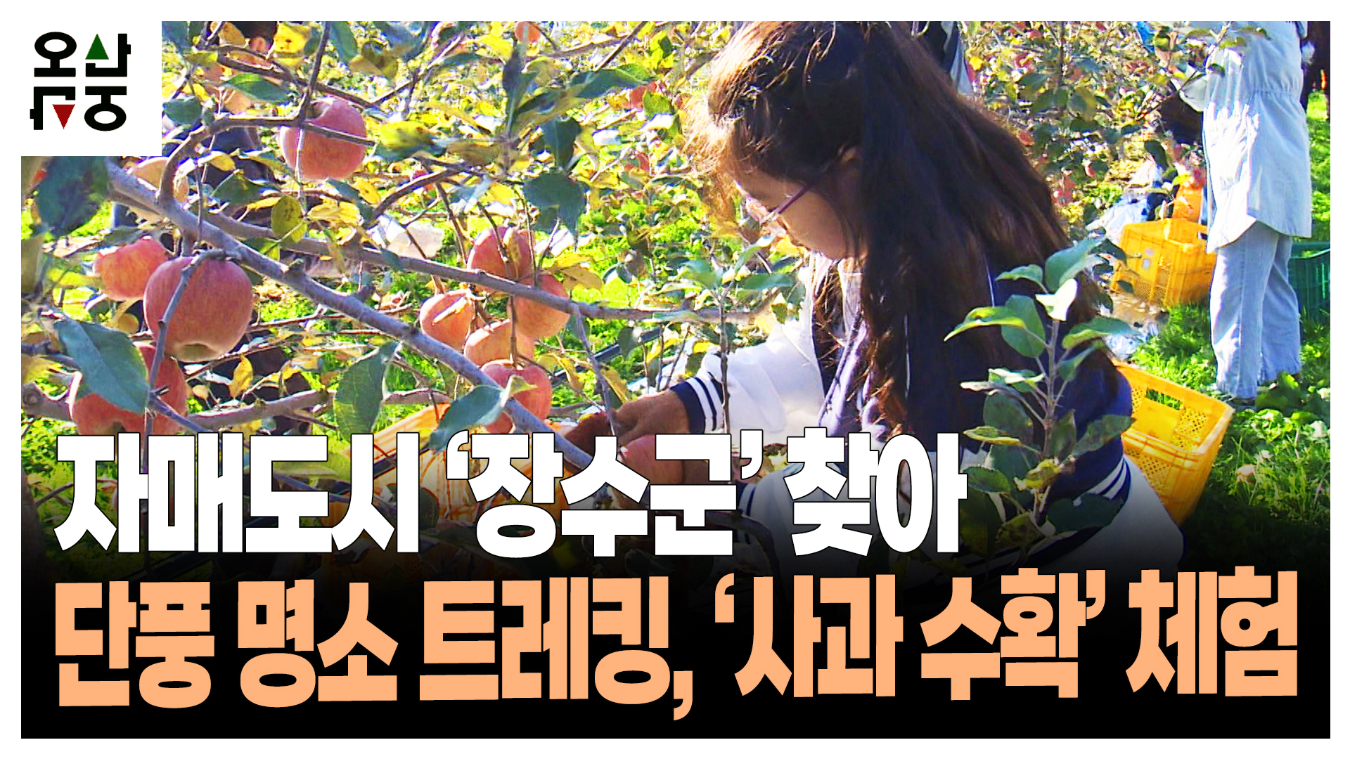 자매도시 ‘장수군’ 찾아  단풍 명소 트레킹, ‘사과 수확’ 체험 