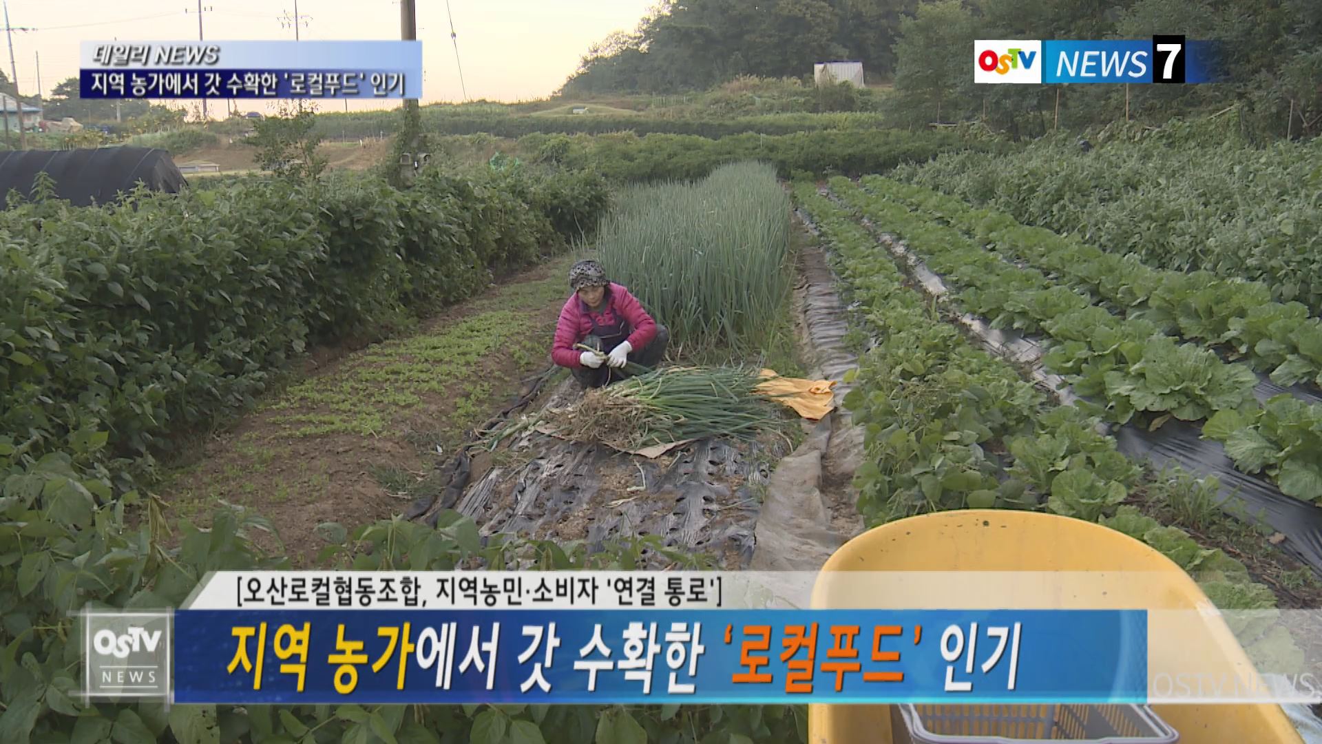 지역 농가에서 갓 수확한 ‘로컬푸드’ 인기