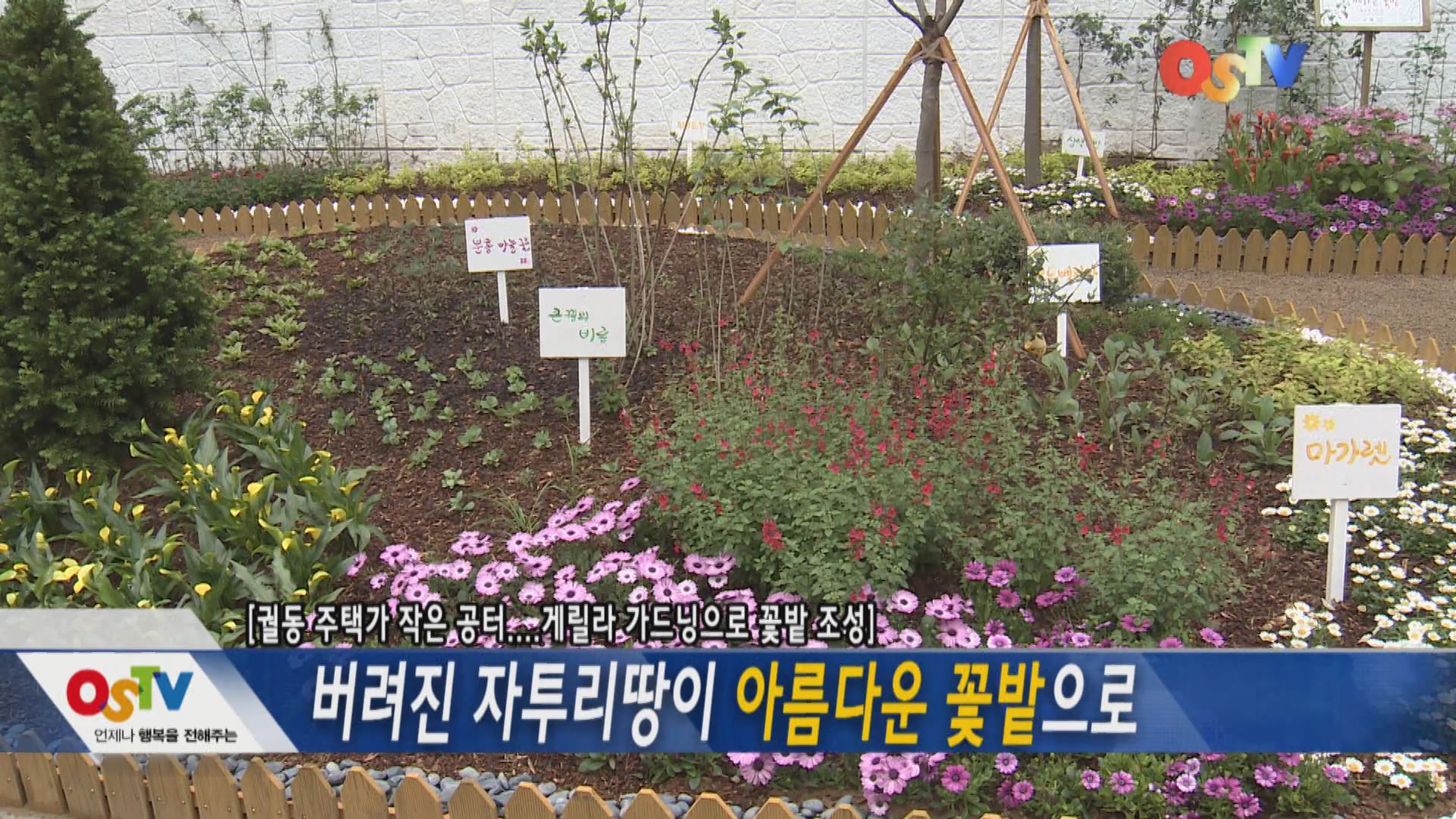 버려진 자투리땅이 아름다운 꽃밭으로