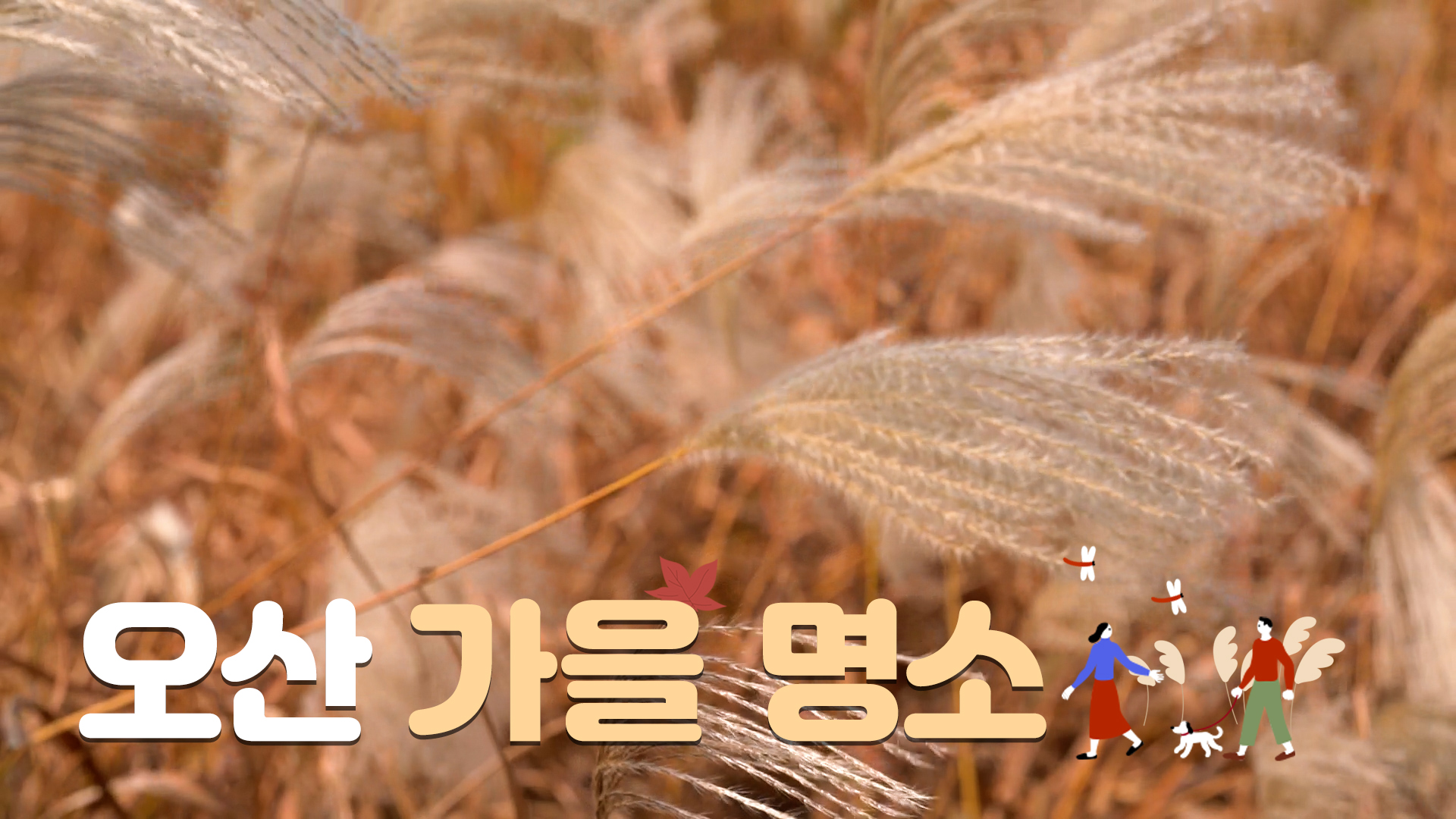 오산 가을 명소