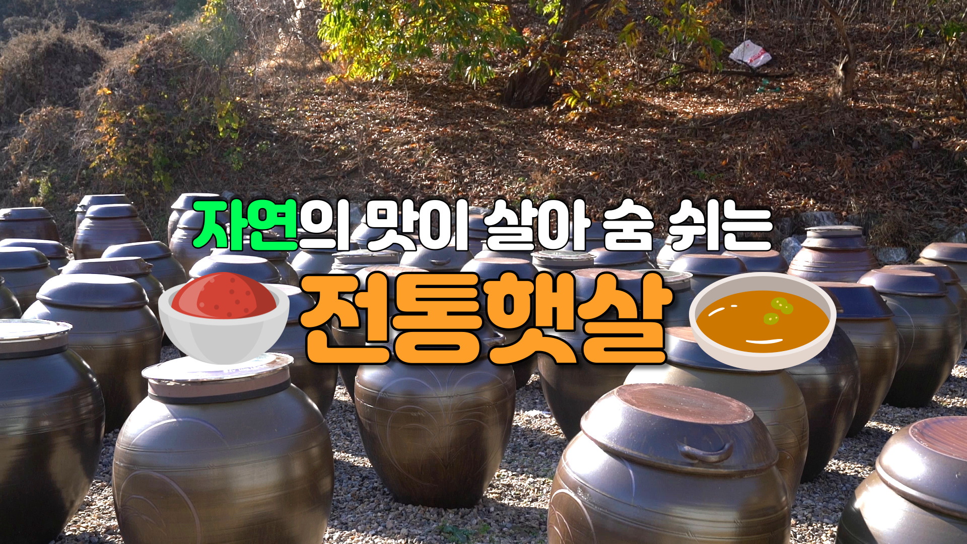 자연의 맛이 살아 숨 쉬는 전통햇살