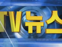 주간뉴스 - 2011년 29호