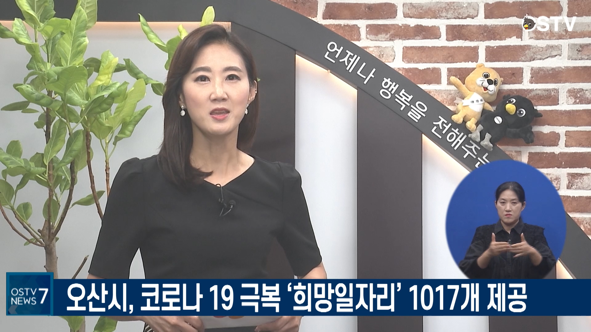 OSTV뉴스 - 2020년 52호