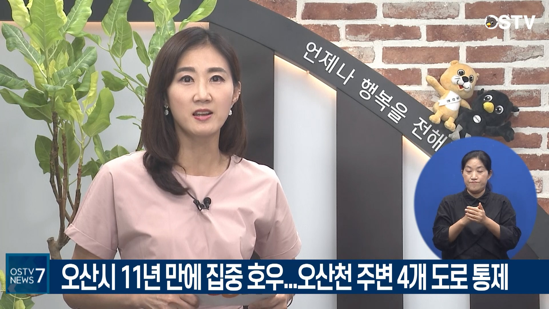 OSTV뉴스 - 2020년 54호