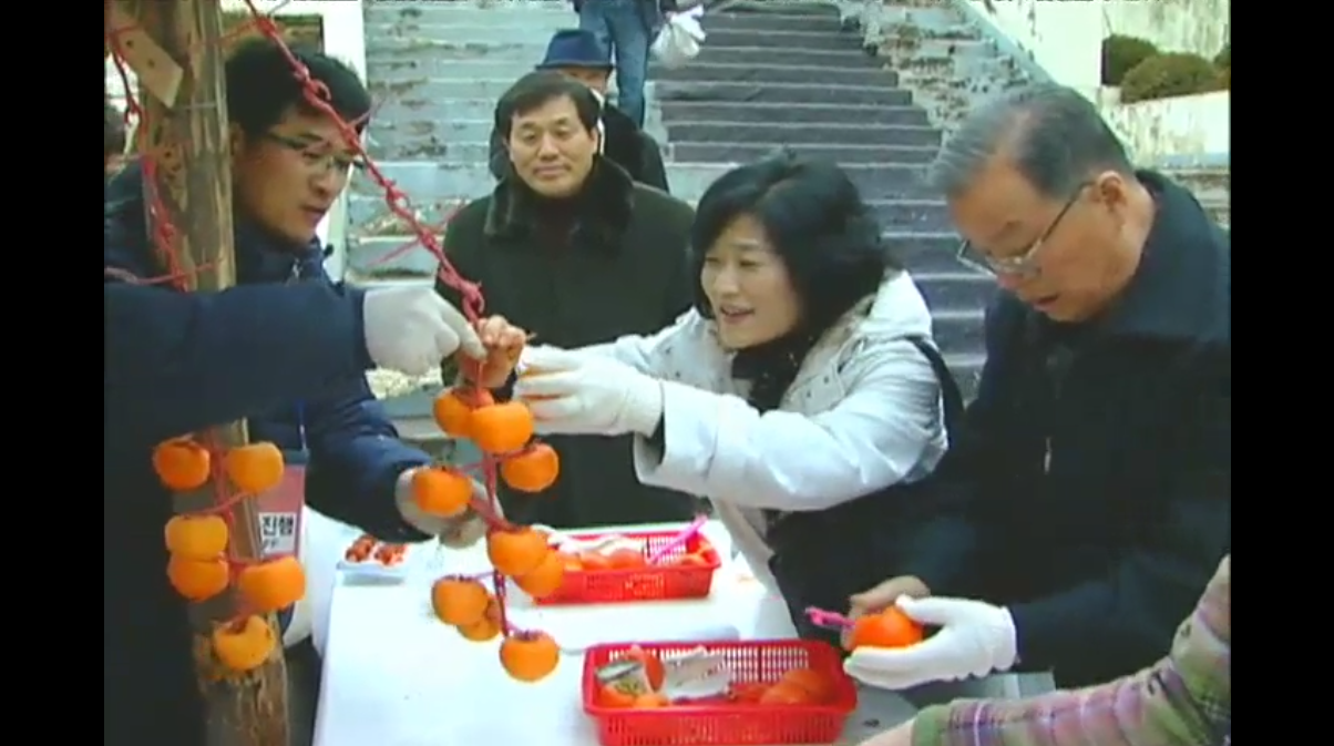 주간뉴스 - 2008년 46호