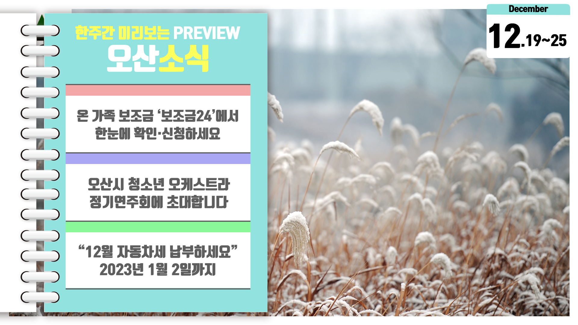 OSTV뉴스 - 2022년 41호