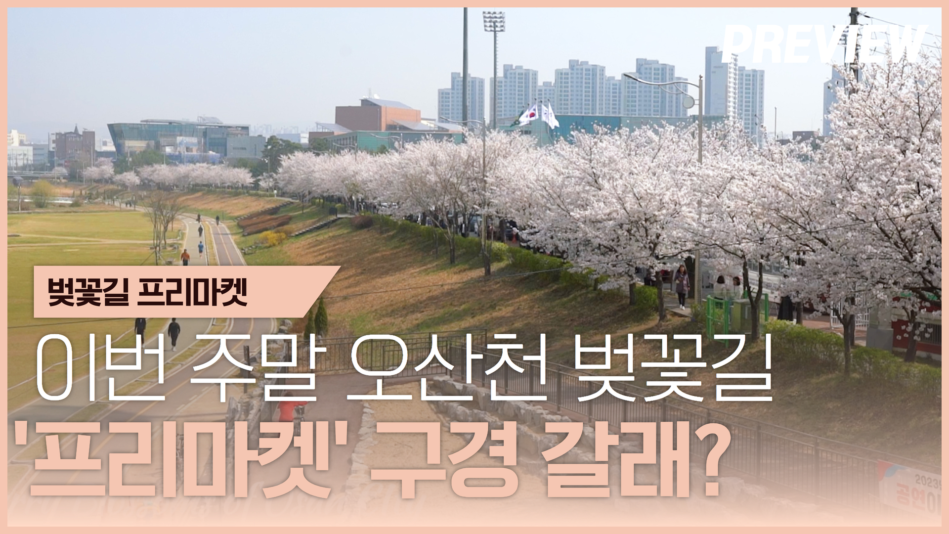 OSTV뉴스 - 2024년 11호