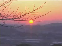 주간뉴스 - 2008년 2호