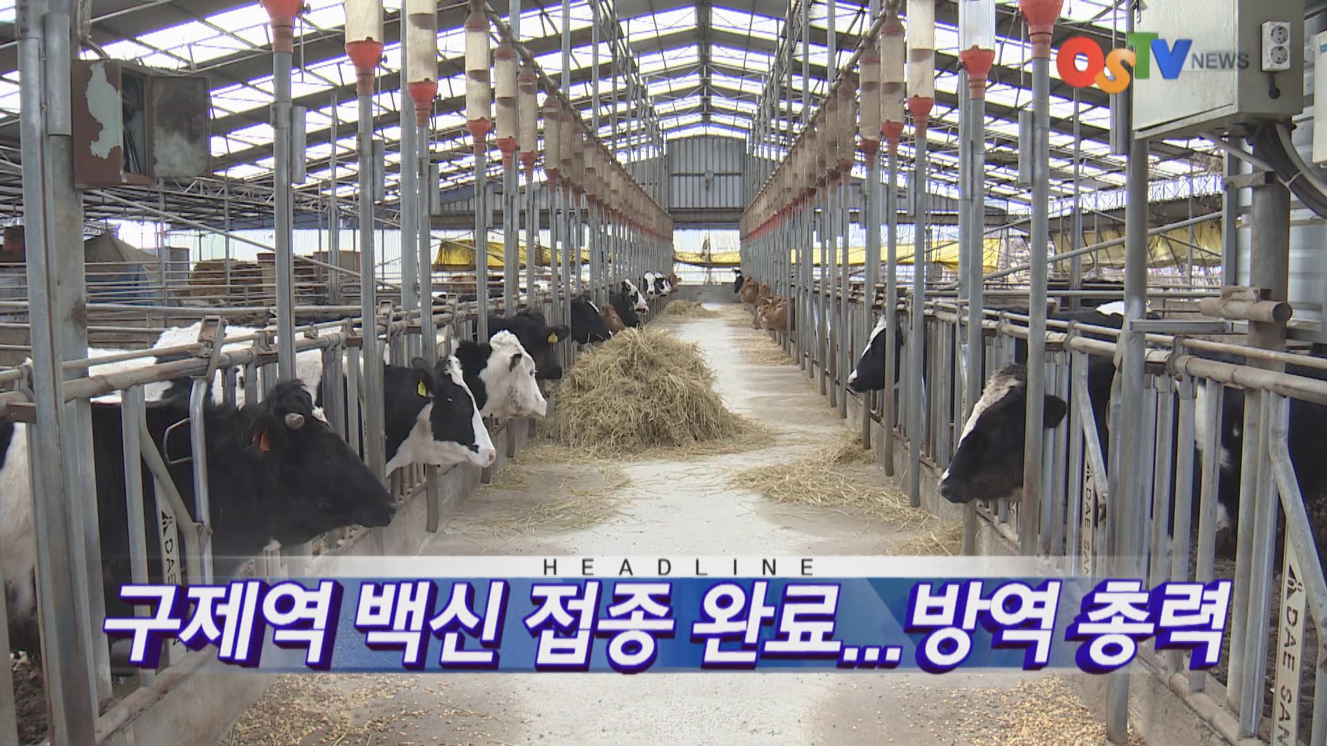 OSTV뉴스 - 2017년 06호 (2월2차)